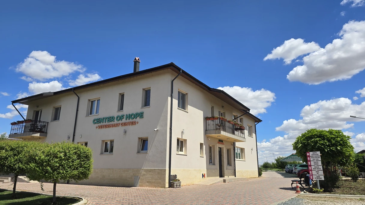 Center of Hope Piteasca